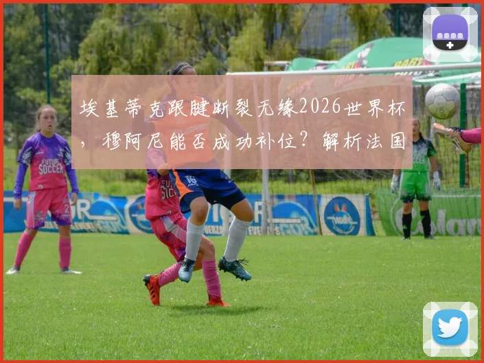 埃基蒂克跟腱断裂无缘2026世界杯，穆阿尼能否成功补位？解析法国队前锋线最新变数