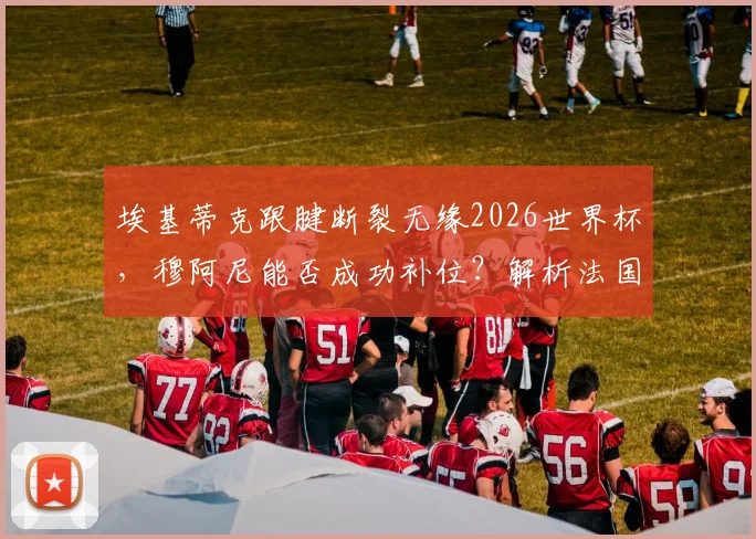 埃基蒂克跟腱断裂无缘2026世界杯，穆阿尼能否成功补位？解析法国队前锋线最新变数